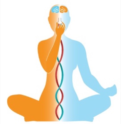 Menopause Yoga (Yoga voor de Overgang)
