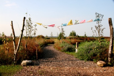 Mini Yoga & Mindfulness Meditation Retreat in Drenthe (NL): 18 - 21 Dec 2020