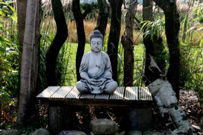 Mini Yoga & Mindfulness Meditation Retreat in Drenthe (NL): 18 - 21 Dec 2020