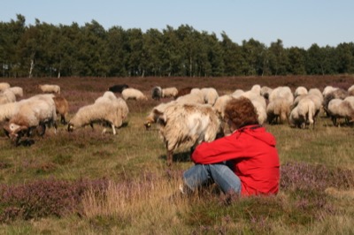 Mini Yoga & Mindfulness Meditation Retreat in Drenthe (NL): 18 - 21 Dec 2020