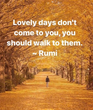 Life Coaching Walks