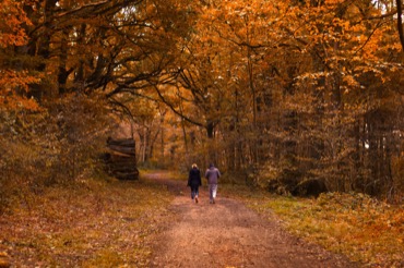 Life Coaching Walks