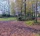 Mini Yoga Retreat Achterhoek - by the Oct 2010 Group
