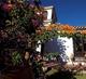 South of Spain (Andalucia) Yoga Retreat: the Estate