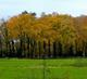 Mini Yoga Retreat Achterhoek - by the Oct 2010 Group