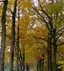 Mini Yoga Retreat Achterhoek - by the Oct 2010 Group