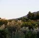 South of Spain (Andalucia) Yoga Retreat: the Estate