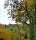 Mini Yoga Retreat Achterhoek - by the Oct 2010 Group
