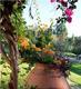 South of Spain (Andalucia) Yoga Retreat: the Estate