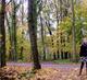 Mini Yoga Retreat Achterhoek - by the Oct 2010 Group