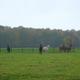 Mini Yoga Retreat Achterhoek - by the Oct 2010 Group